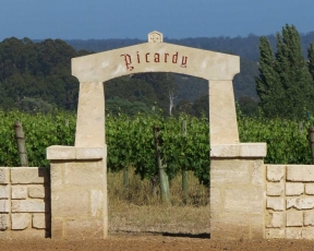 Picardy-Wines---NTL-Quarry-Blocks-(3)
