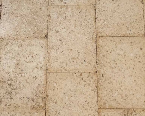 Reconstituted Pavers Fossil Limestone