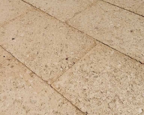 Reconstituted Pavers Fossil Limestone